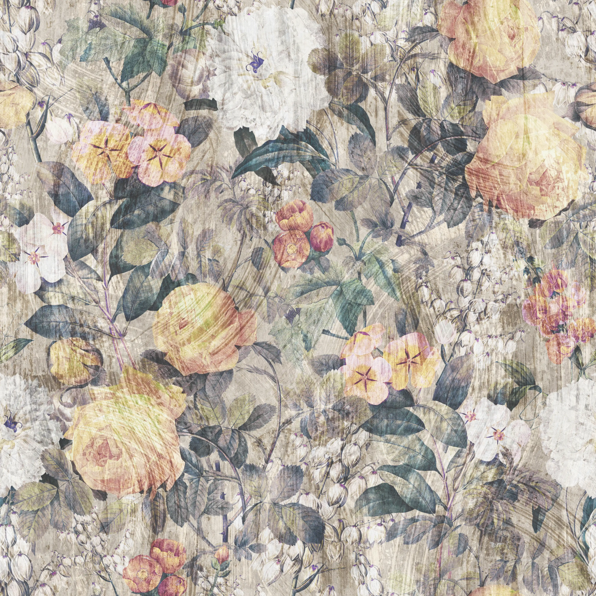 Ancient Roses